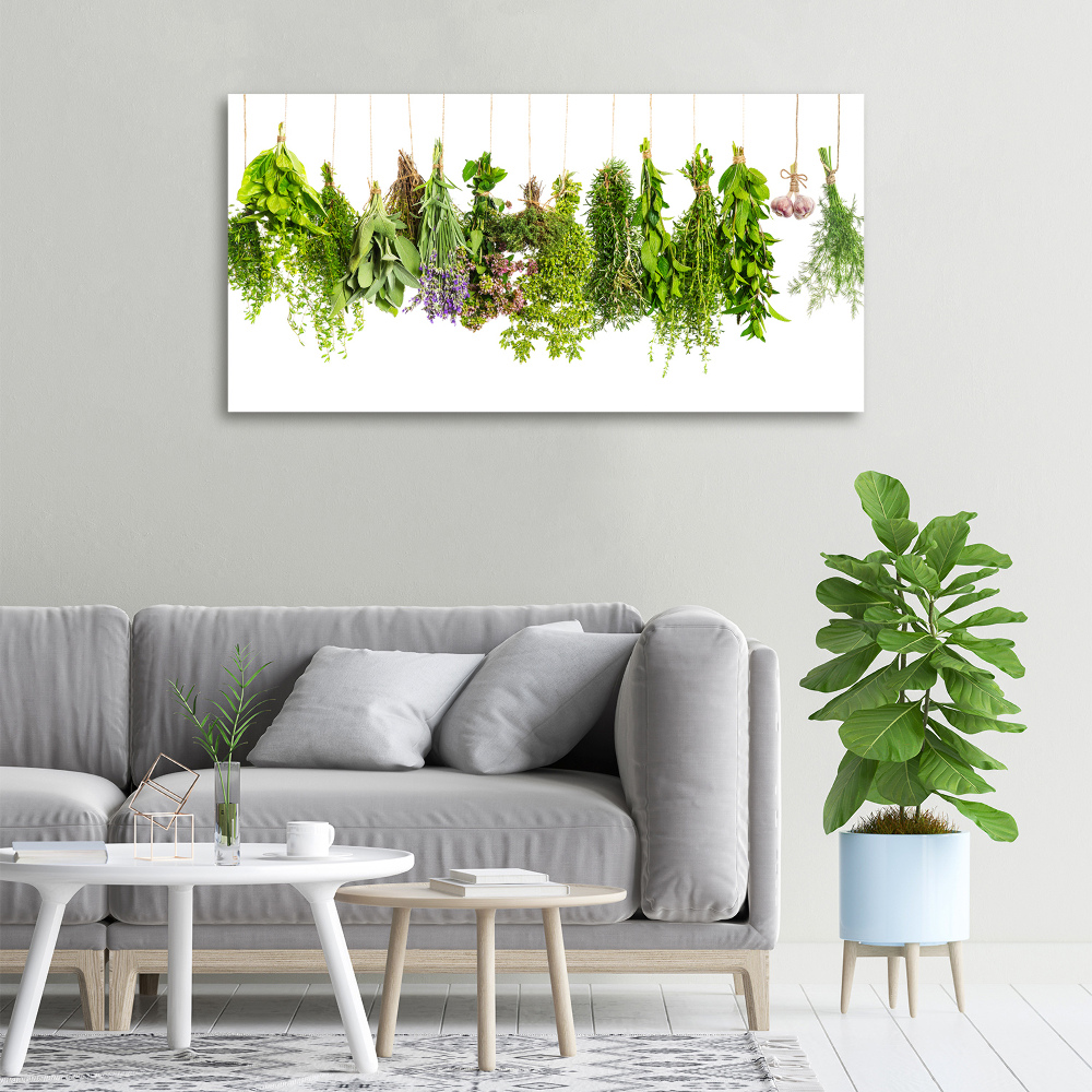 Tableau mural sur toile Herbes sur ficelle