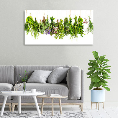 Tableau mural sur toile Herbes sur ficelle