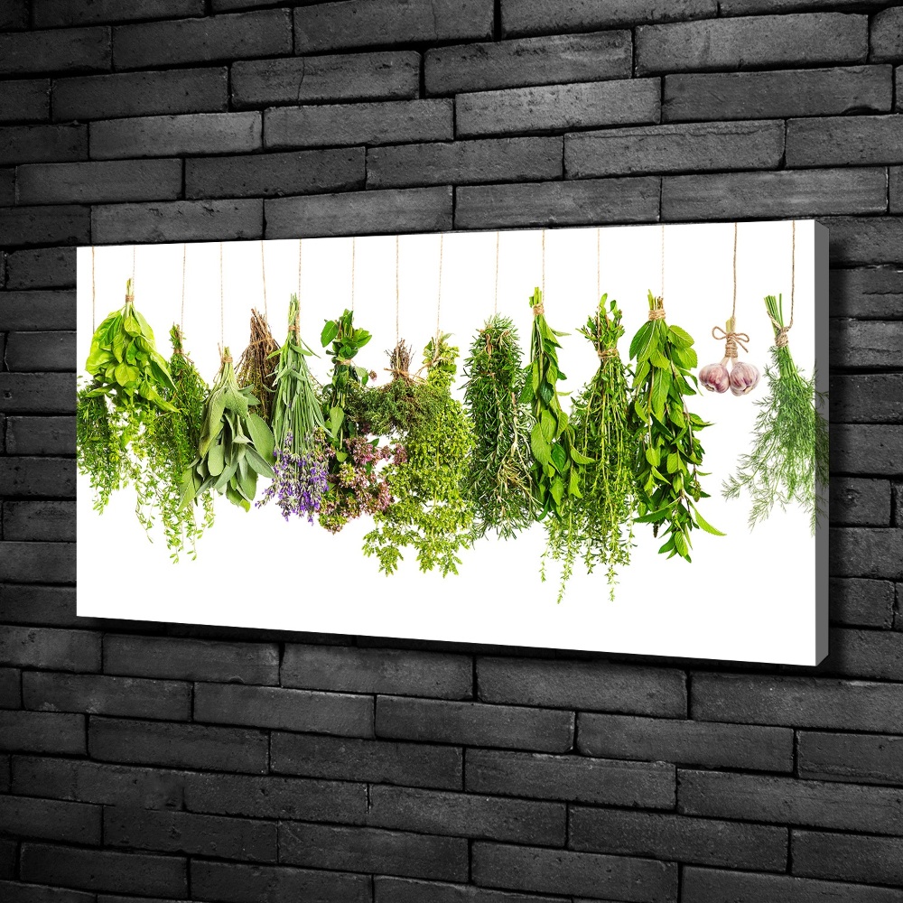 Tableau mural sur toile Herbes sur ficelle