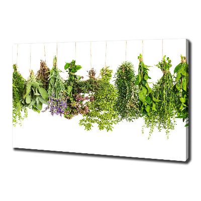 Tableau mural sur toile Herbes sur ficelle