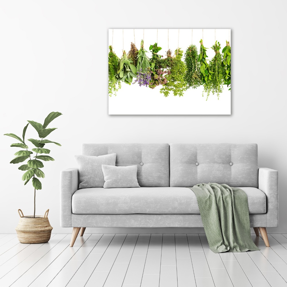 Tableau mural sur toile Herbes sur ficelle