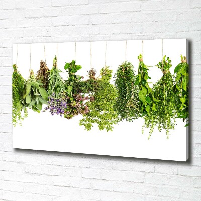 Tableau mural sur toile Herbes sur ficelle