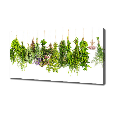 Tableau mural sur toile Herbes sur ficelle