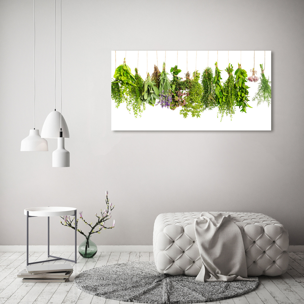 Tableau mural sur toile Herbes sur ficelle