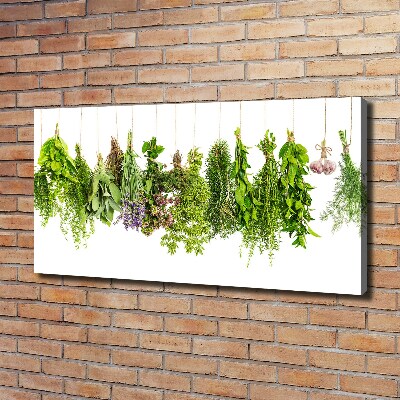 Tableau mural sur toile Herbes sur ficelle