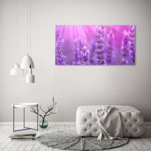 Tableau mural sur toile Lavande