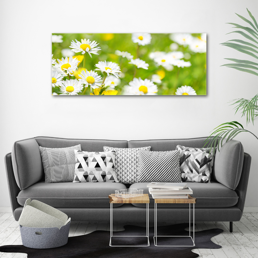 Tableau sur toile Marguerite