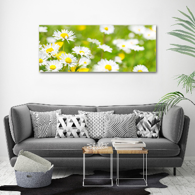 Tableau sur toile Marguerite