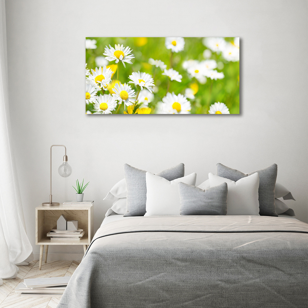 Tableau sur toile Marguerite