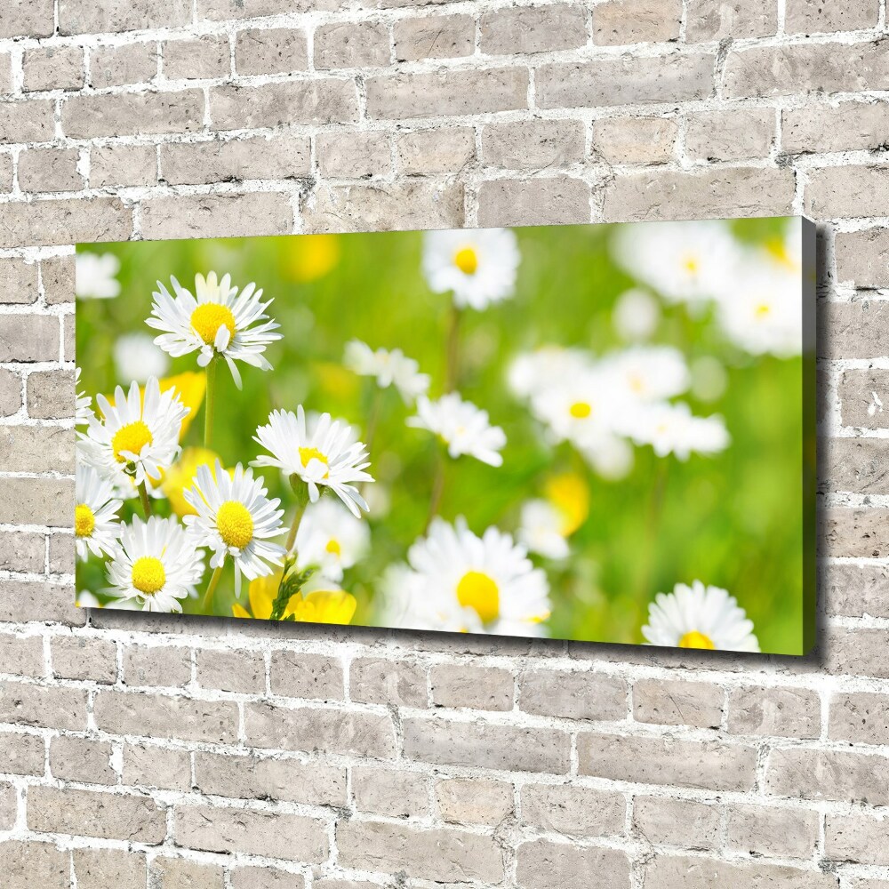 Tableau sur toile Marguerite