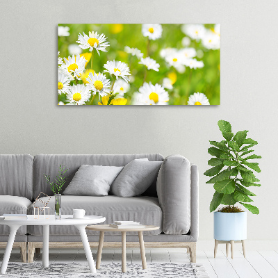 Tableau sur toile Marguerite