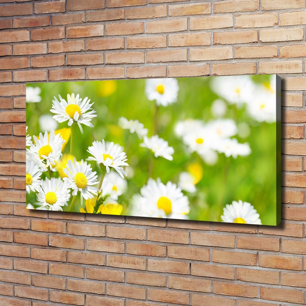 Tableau sur toile Marguerite