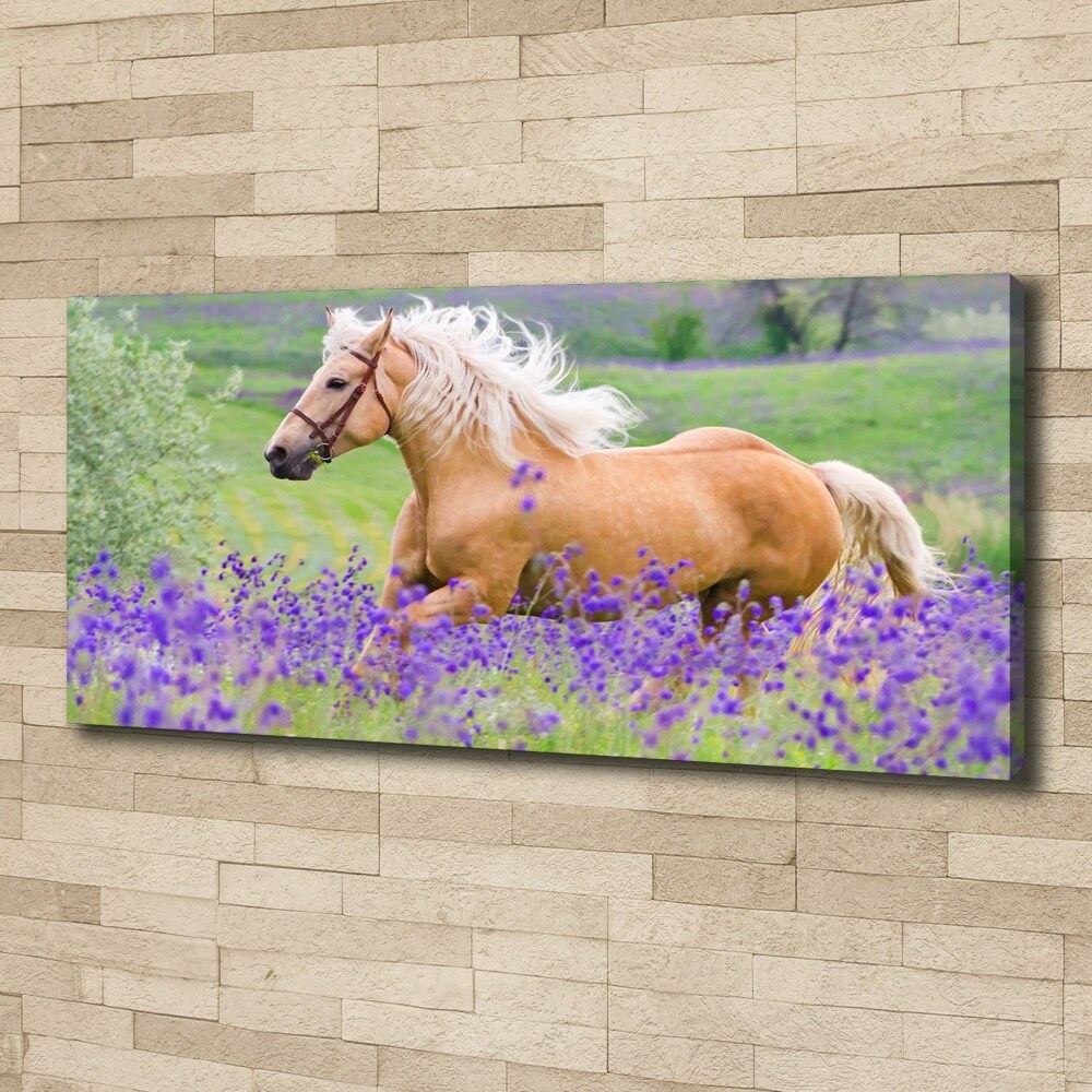 Tableau mural sur toile Cheval dans un champ de lavande