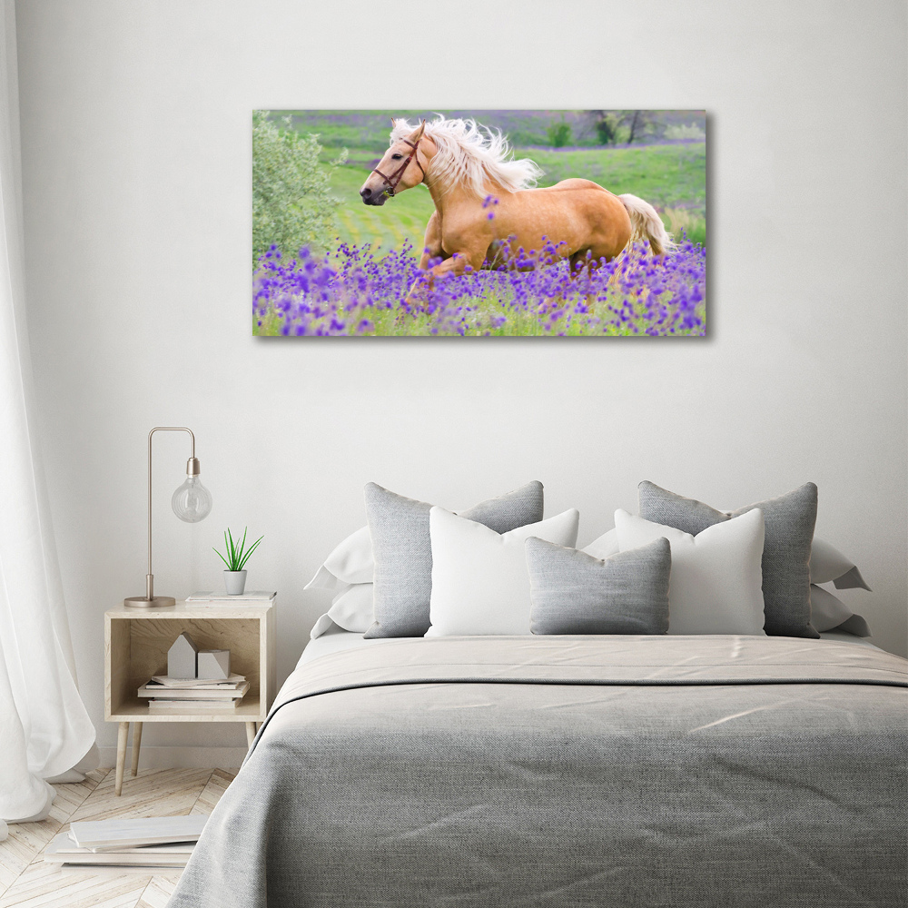 Tableau mural sur toile Cheval dans un champ de lavande