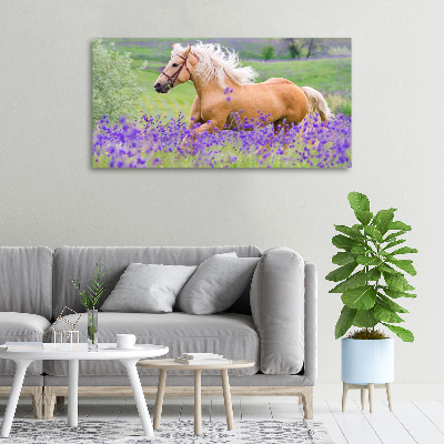 Tableau mural sur toile Cheval dans un champ de lavande