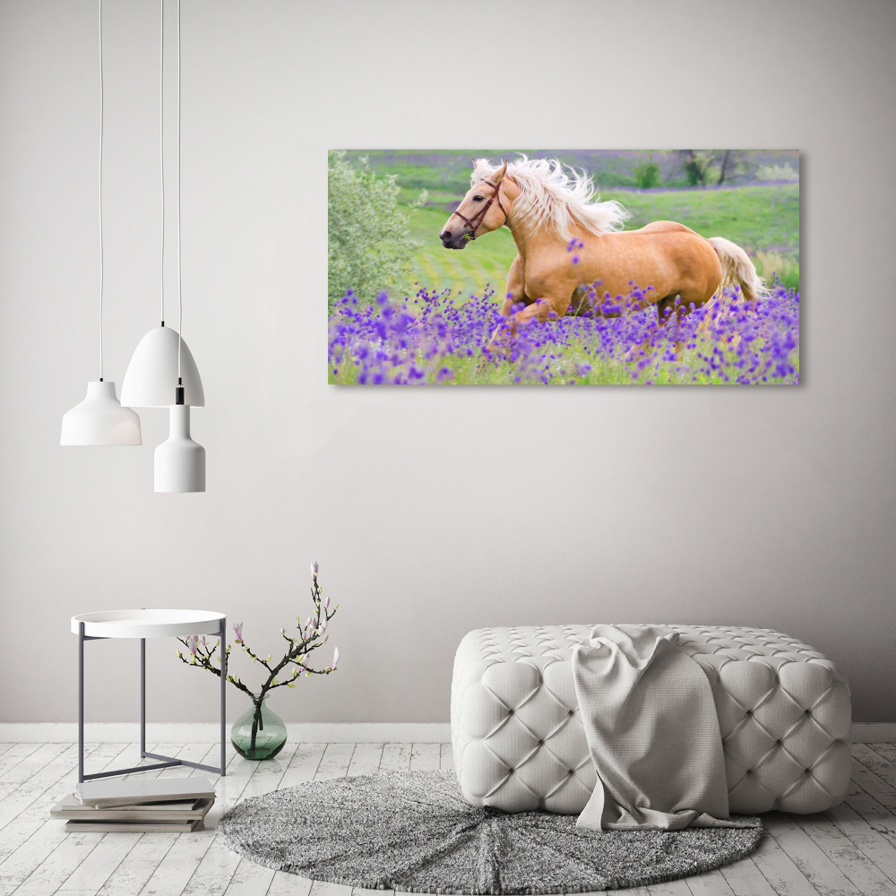 Tableau mural sur toile Cheval dans un champ de lavande