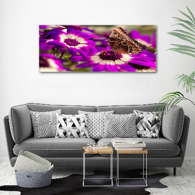 Tableau photo sur toile Papillon sur une fleur