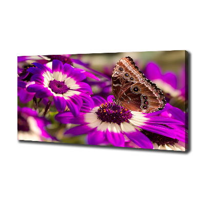 Tableau photo sur toile Papillon sur une fleur