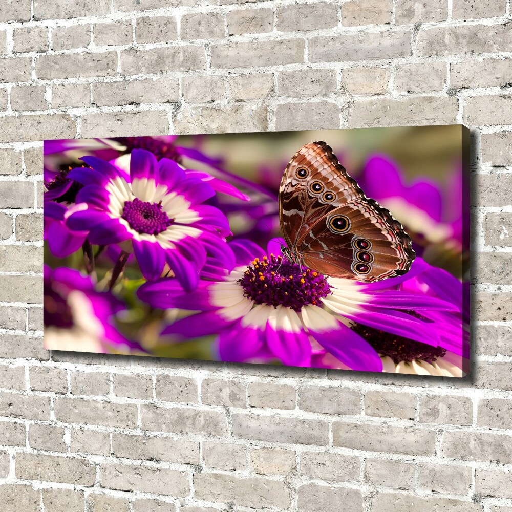 Tableau photo sur toile Papillon sur une fleur