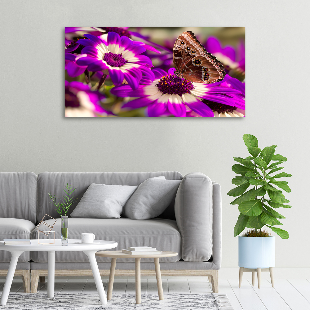 Tableau photo sur toile Papillon sur une fleur