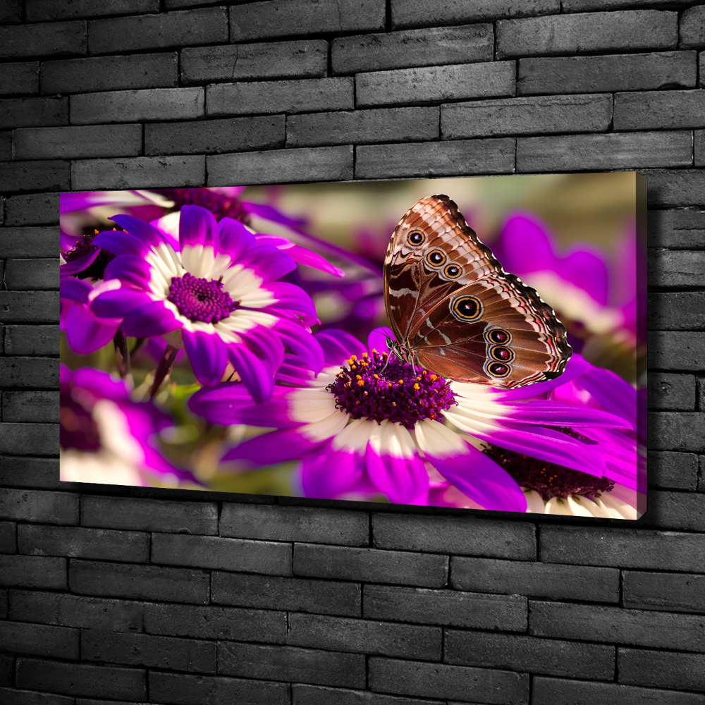 Tableau photo sur toile Papillon sur une fleur