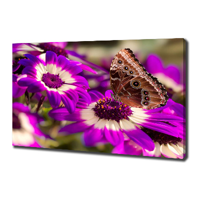 Tableau photo sur toile Papillon sur une fleur