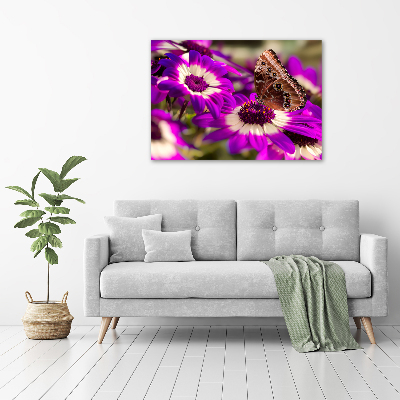 Tableau photo sur toile Papillon sur une fleur