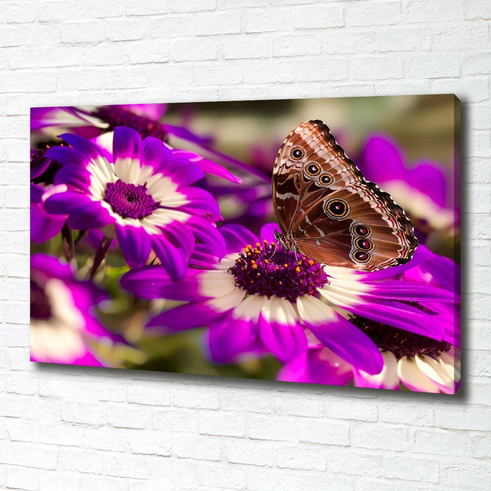 Tableau photo sur toile Papillon sur une fleur