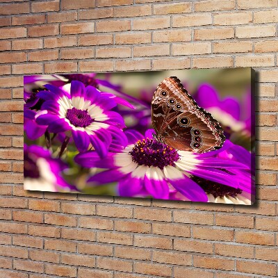 Tableau photo sur toile Papillon sur une fleur