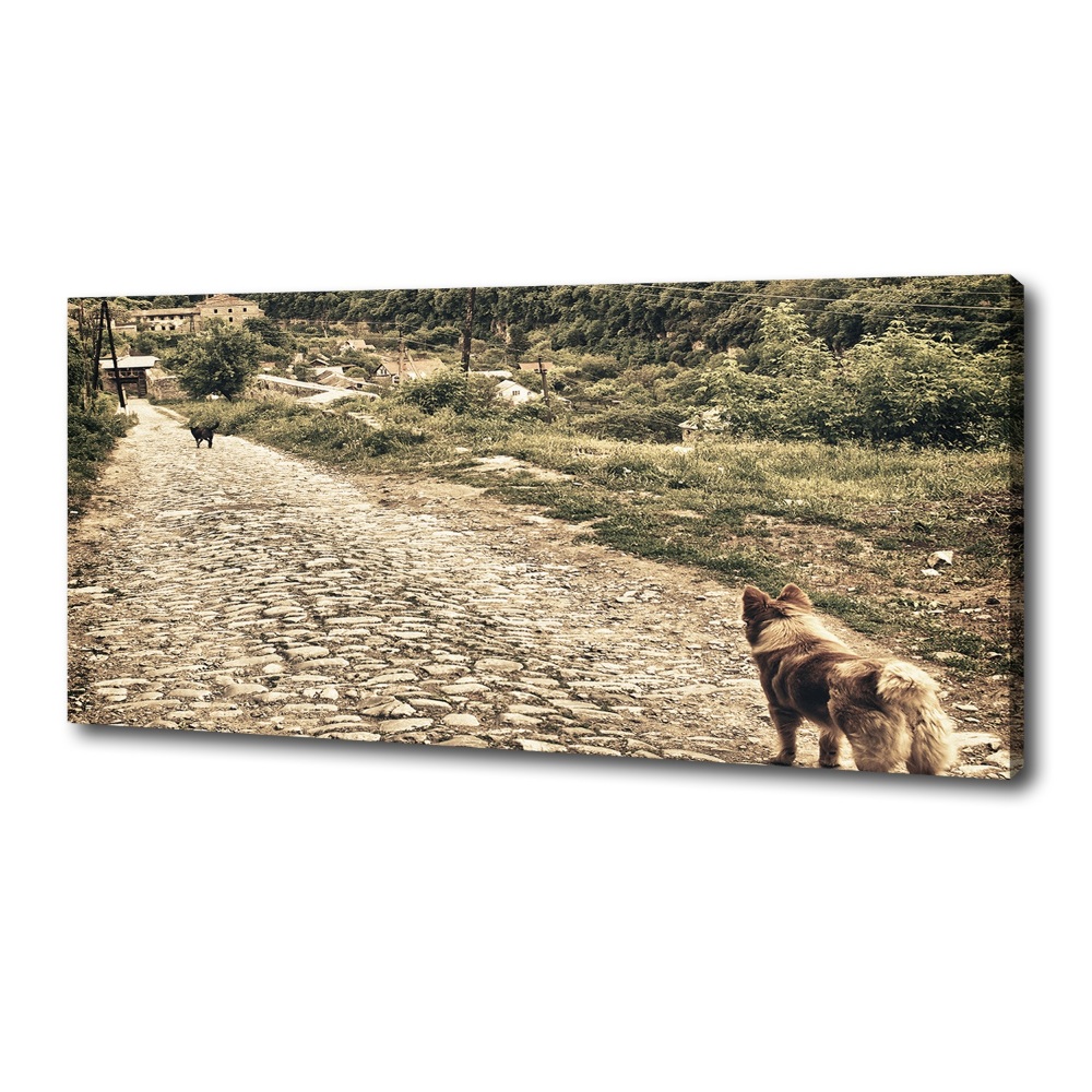 Tableau sur toile Deux chiens sur une colline