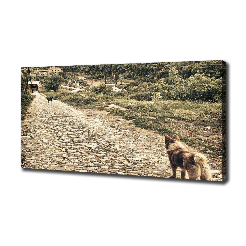 Tableau sur toile Deux chiens sur une colline