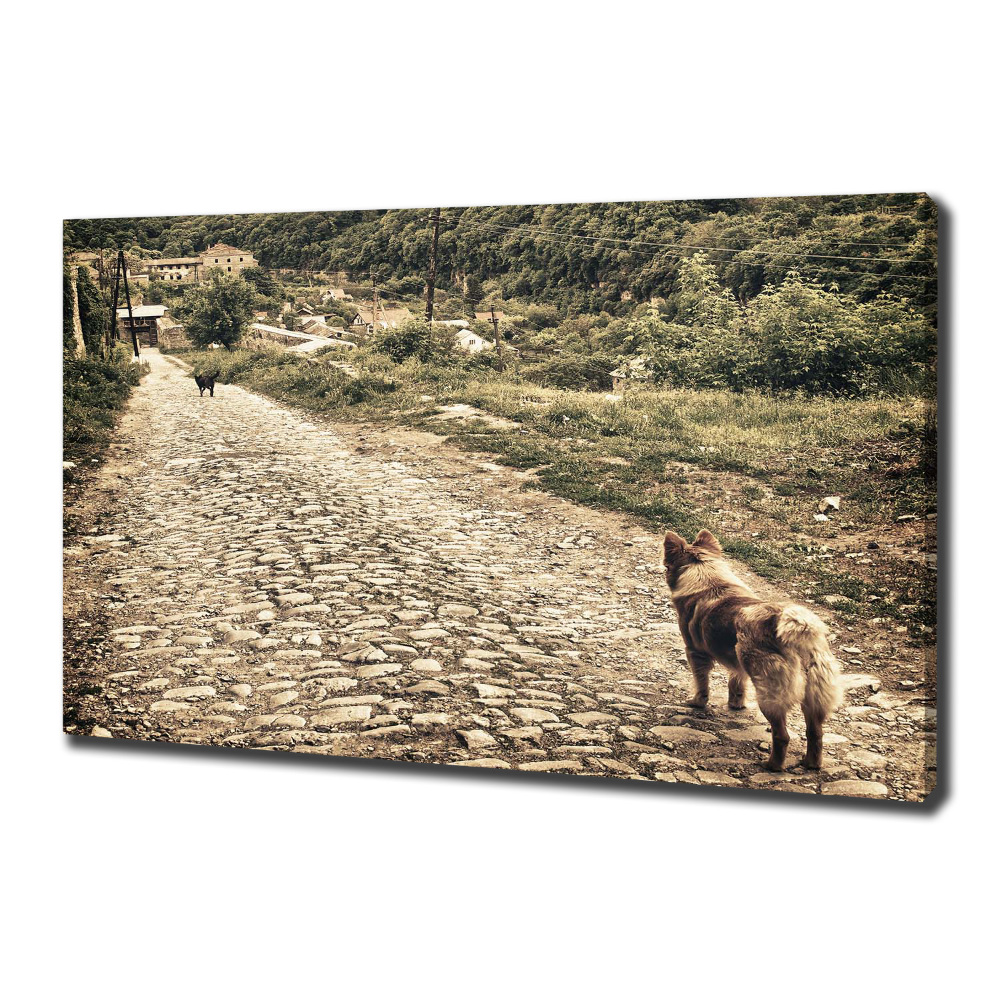 Tableau sur toile Deux chiens sur une colline