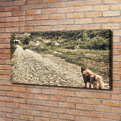 Tableau sur toile Deux chiens sur une colline