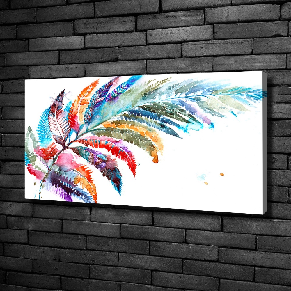 Tableau imprimé sur toile Plume colorée