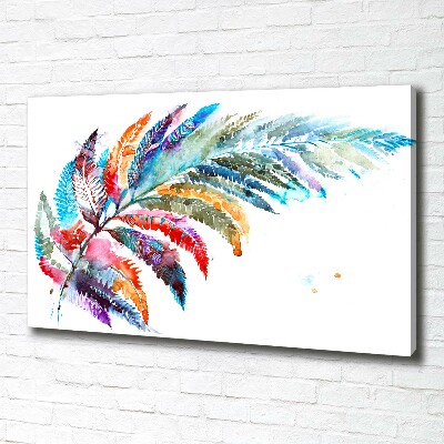 Tableau imprimé sur toile Plume colorée