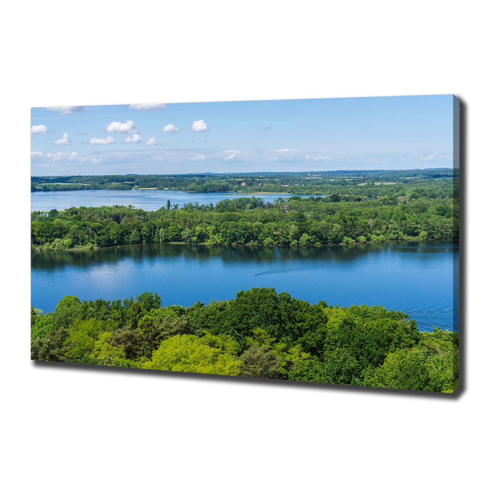 Tableau toile imprimée Forêt de bord de lac