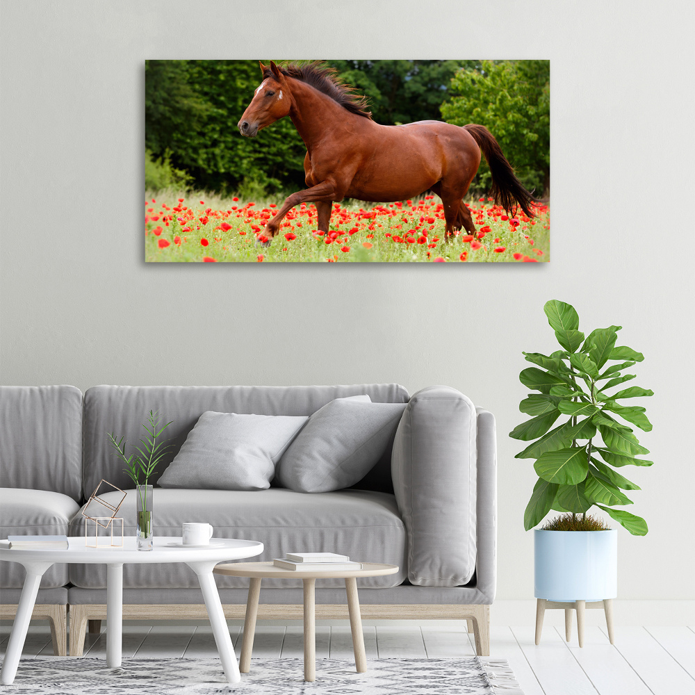 Tableau imprimé sur toile Cheval dans un champ de coquelicots