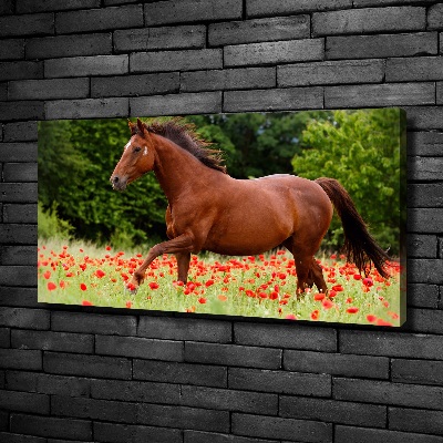 Tableau imprimé sur toile Cheval dans un champ de coquelicots