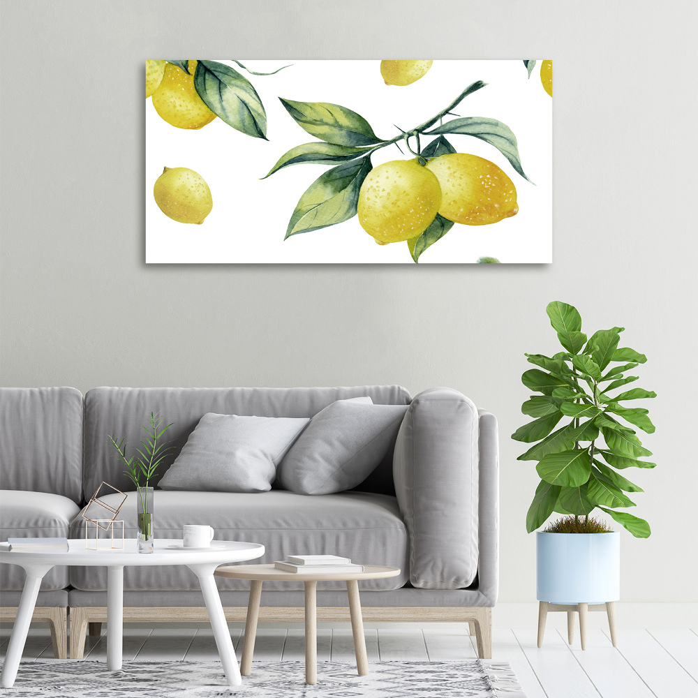 Tableau photo sur toile Citrons