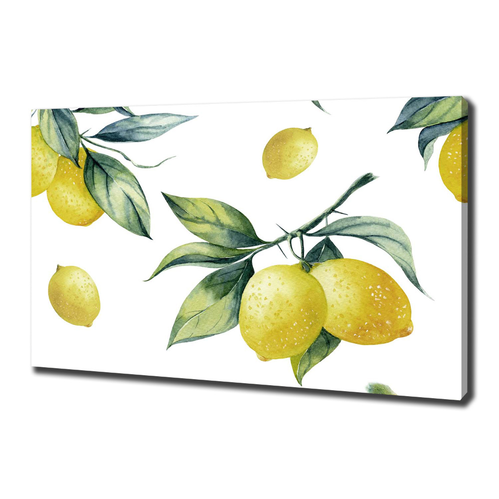 Tableau photo sur toile Citrons