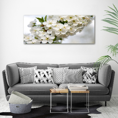 Tableau photo sur toile Fleurs de cerisier