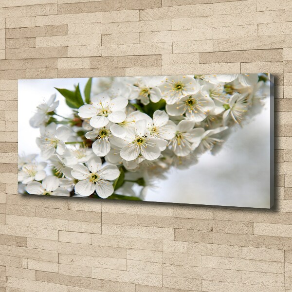 Tableau photo sur toile Fleurs de cerisier