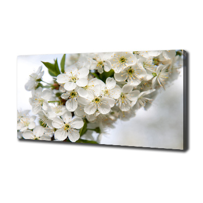 Tableau photo sur toile Fleurs de cerisier