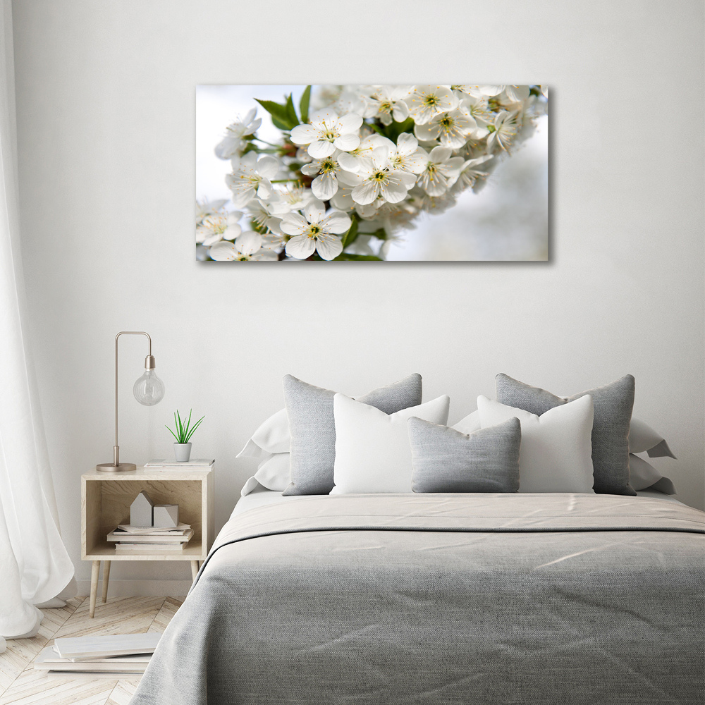 Tableau photo sur toile Fleurs de cerisier