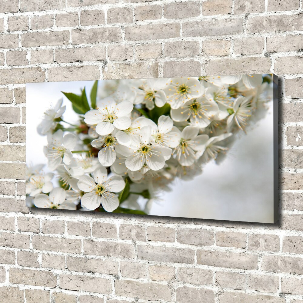 Tableau photo sur toile Fleurs de cerisier