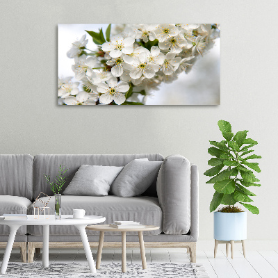 Tableau photo sur toile Fleurs de cerisier