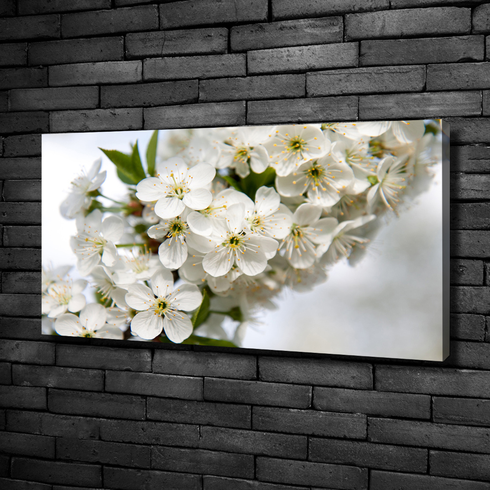 Tableau photo sur toile Fleurs de cerisier