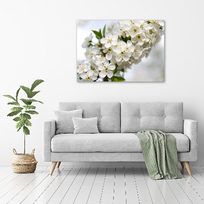 Tableau photo sur toile Fleurs de cerisier