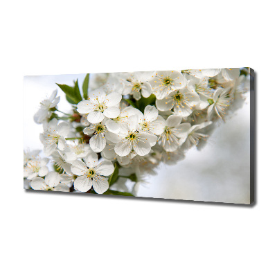 Tableau photo sur toile Fleurs de cerisier