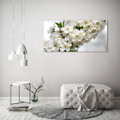 Tableau photo sur toile Fleurs de cerisier